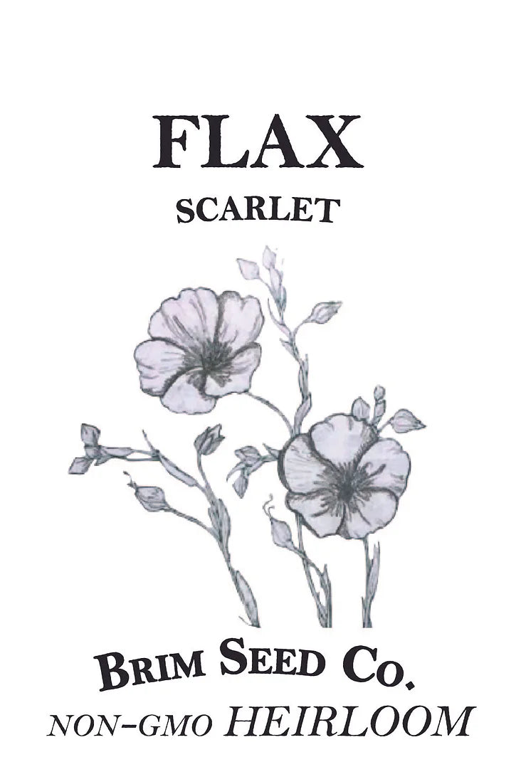 Brim Seed Co. - Scarlet Flax Flower Heirloom Seed