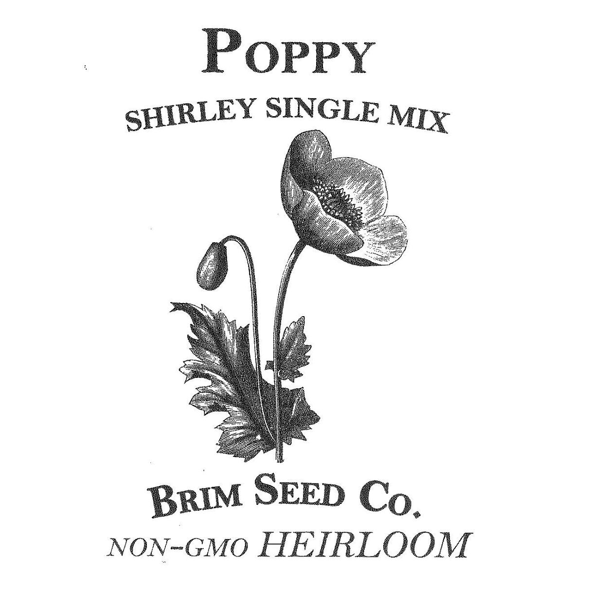 Brim Seed Co. - Shirley Single Mix Poppy Flower Heirloom Seed