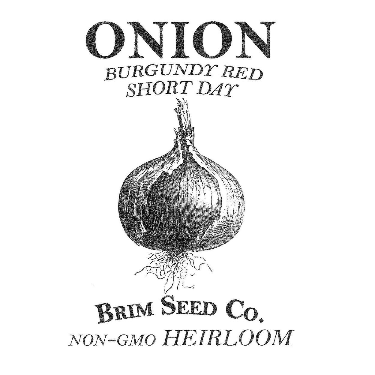 Brim Seed Co. - Burgundy Red Short Day Onion Heirloom Seed