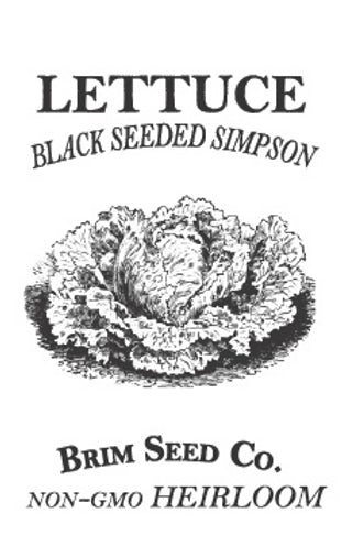 Brim Seed Co. - Black Seeded Simpson Lettuce Greens Heirloom Seed