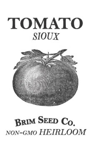 Brim Seed Co. - Sioux Tomato Heirloom Seed