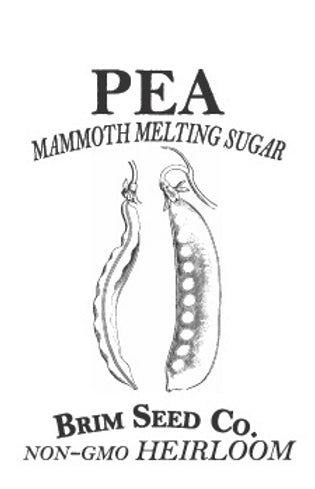 Brim Seed Co. - Edible Pod Sugar Mammoth Melting Snow Pea Heirloom Seed