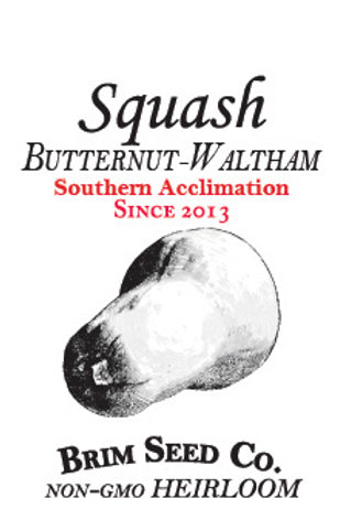 Brim Seed Co. - Southern Acclimated Waltham Butternut Squash Heirloom Seed