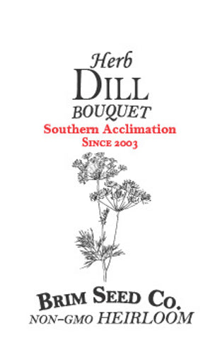 Brim Seed Co. - Southern Acclimated Dill Herb Heirloom Seed