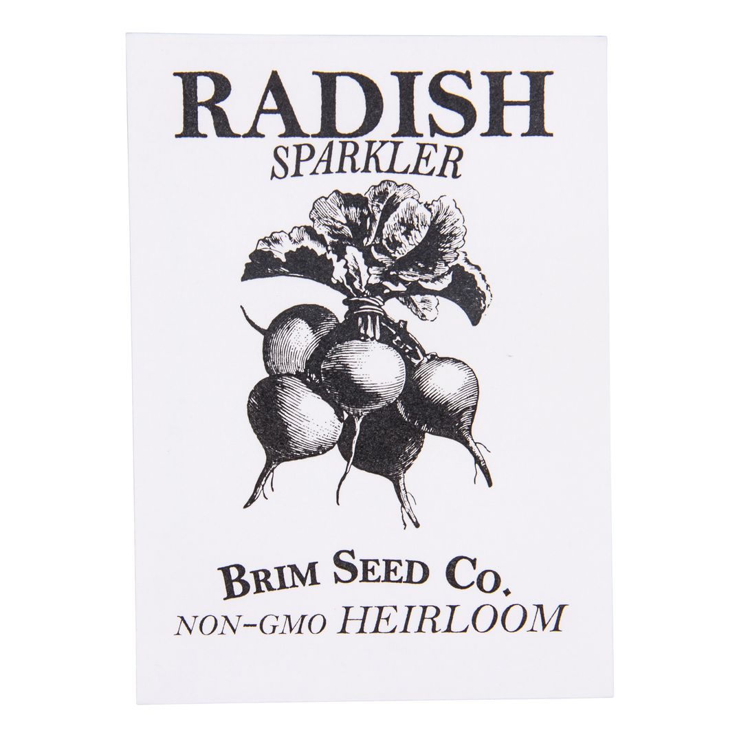 Brim Seed Co. - Sparkler White Top Radish Heirloom Seed
