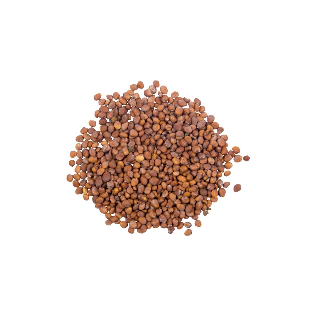 Brim Seed Co. - Sparkler White Top Radish Heirloom Seed