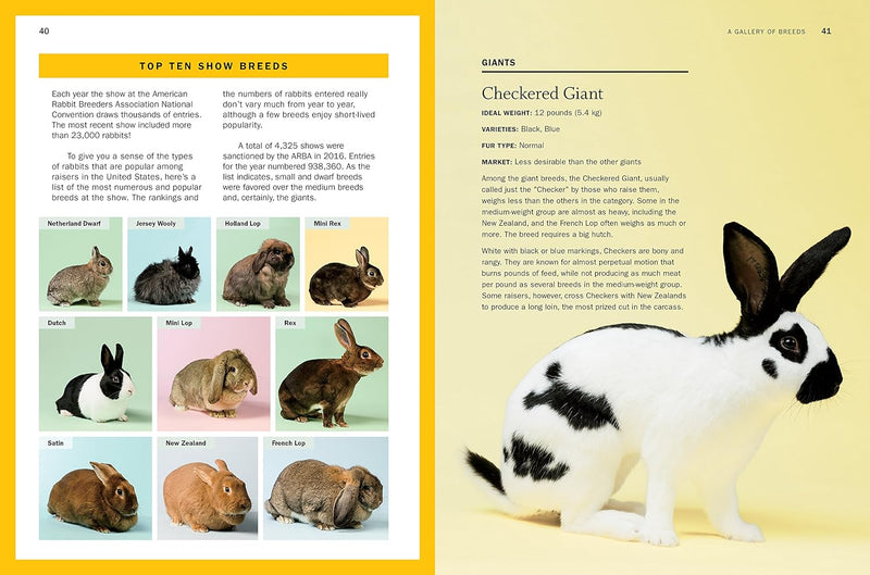 Storey's Guide to Raising Rabbits, 5th Edition: Breeds, Care, Housing - by Bob Bennet