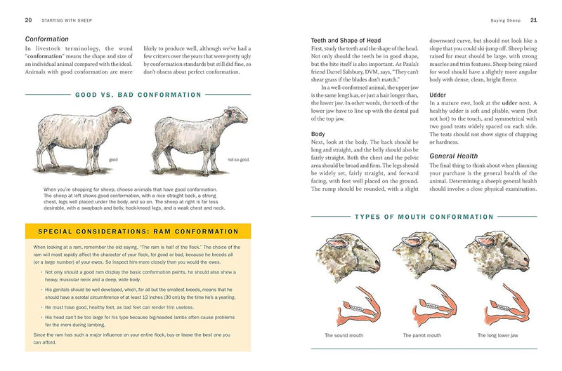 Storey's Guide to Raising Sheep, 5th Edition: Breeding, Care, Facilities –  by Paula Simmons and Carol Ekarius