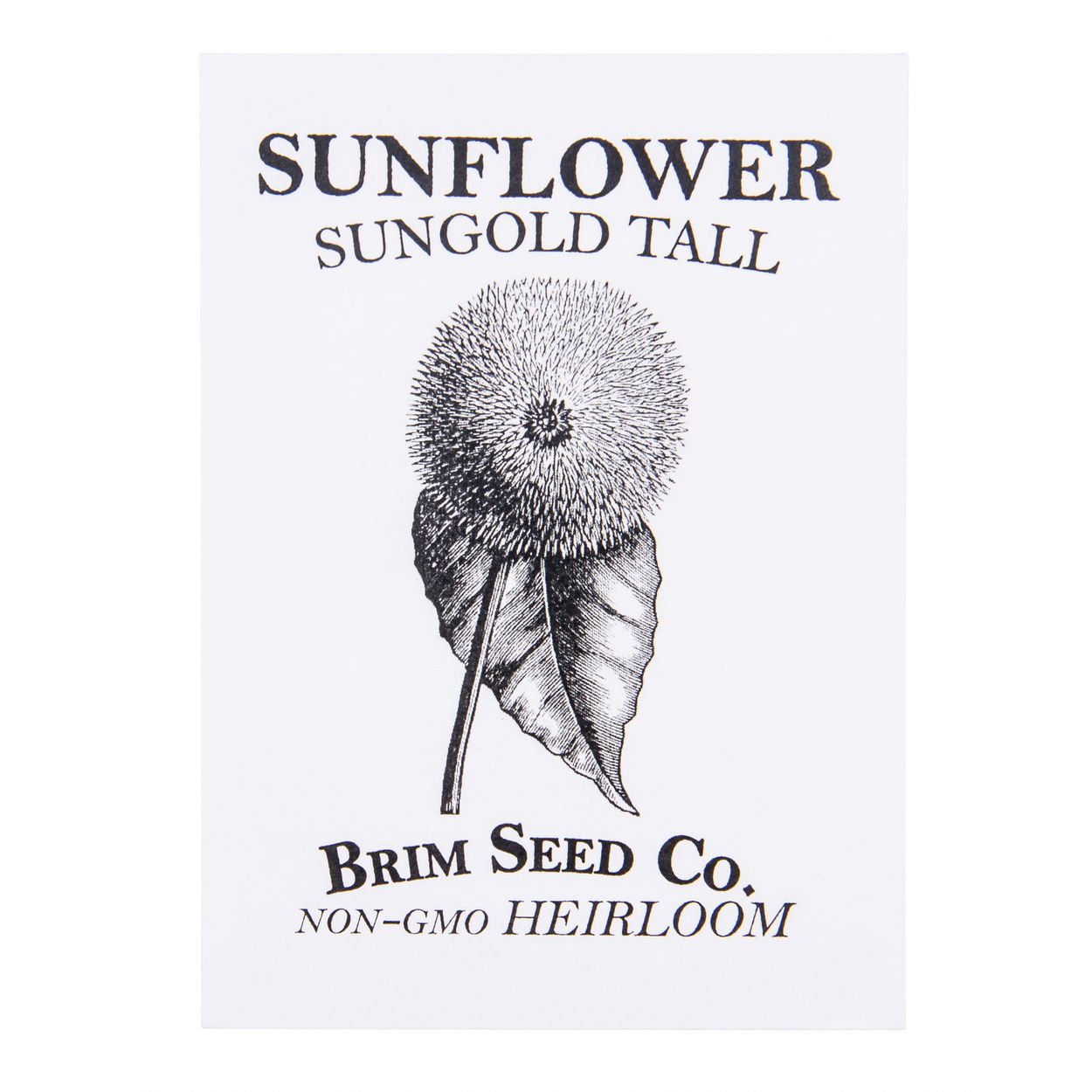 Brim Seed Co. - Sungold Tall Sunflower Heirloom Seed