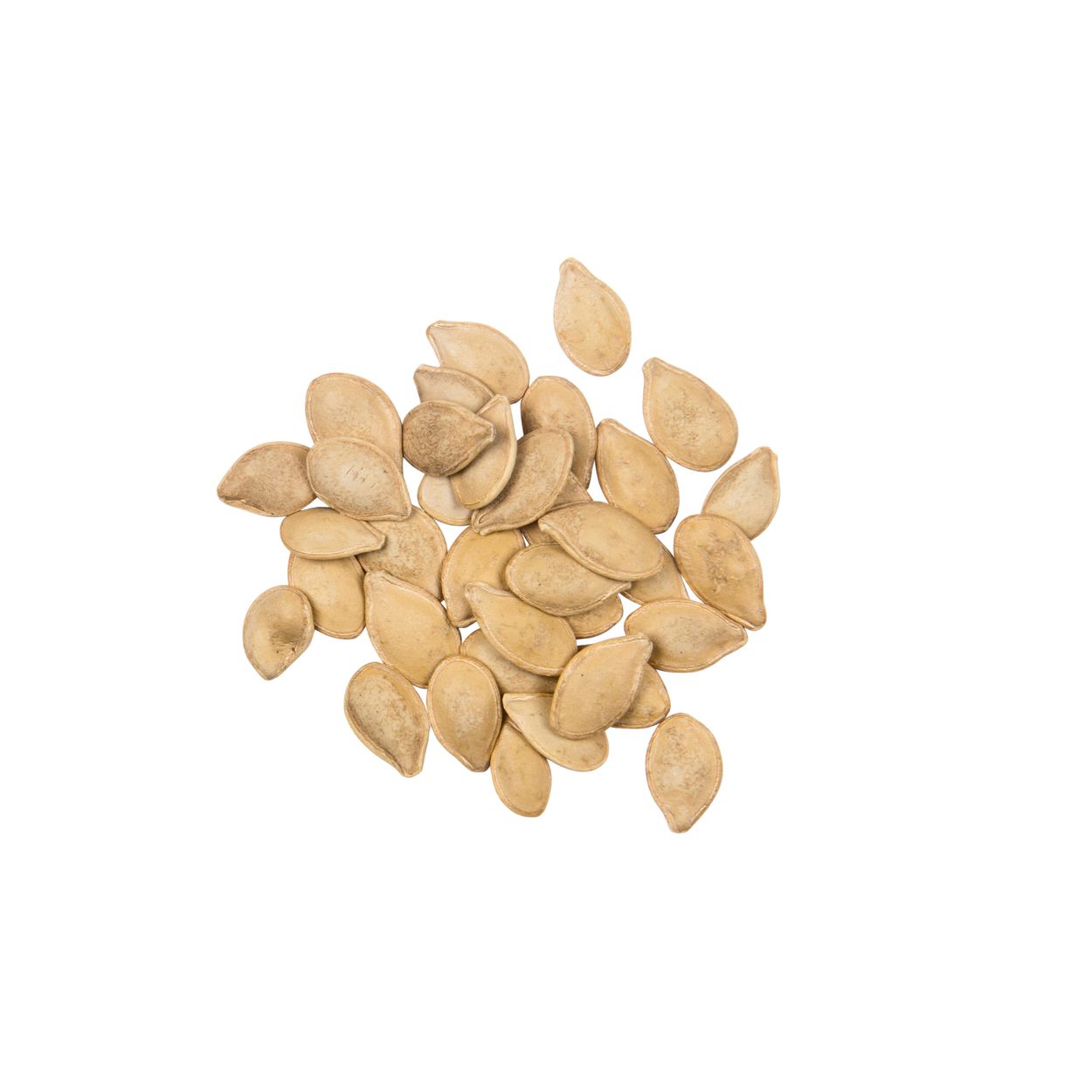 Brim Seed Co. - Winter Table Queen Acorn Squash Heirloom Seed