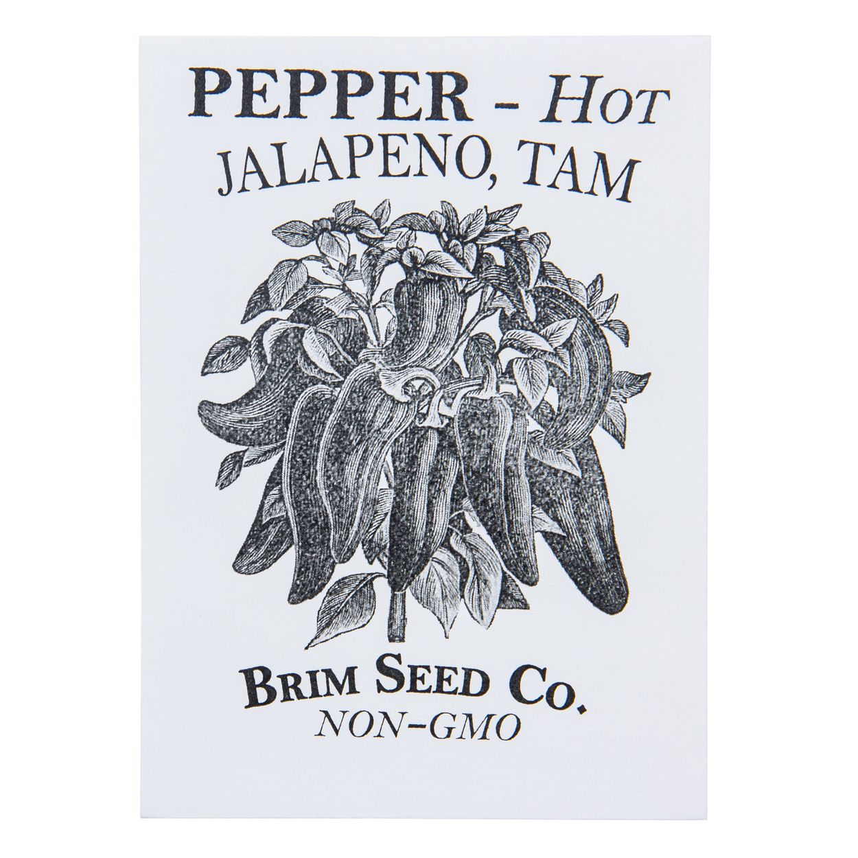 Brim Seed Co. - Hot Tam Jalapeno Pepper Seed