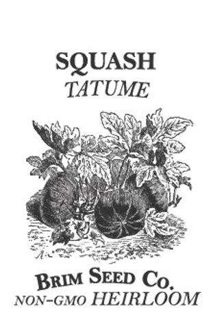 Brim Seed Co. - Tatume Squash Heirloom Seed