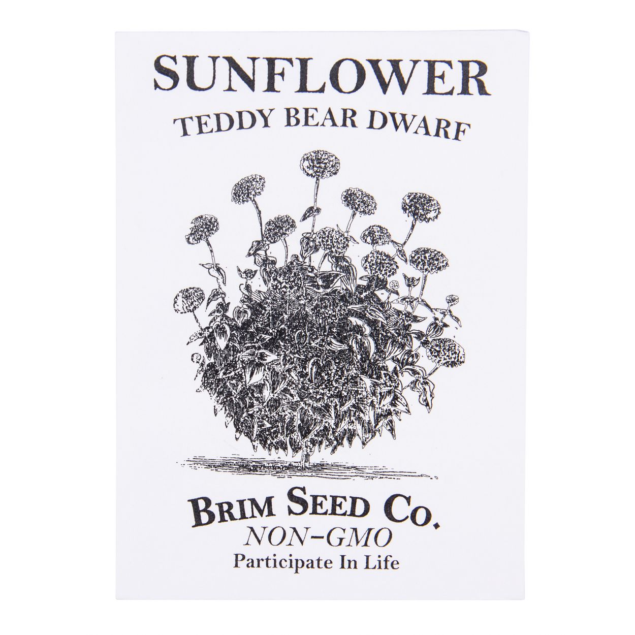 Brim Seed Co. - Teddy Bear Dwarf Sunflower Seed