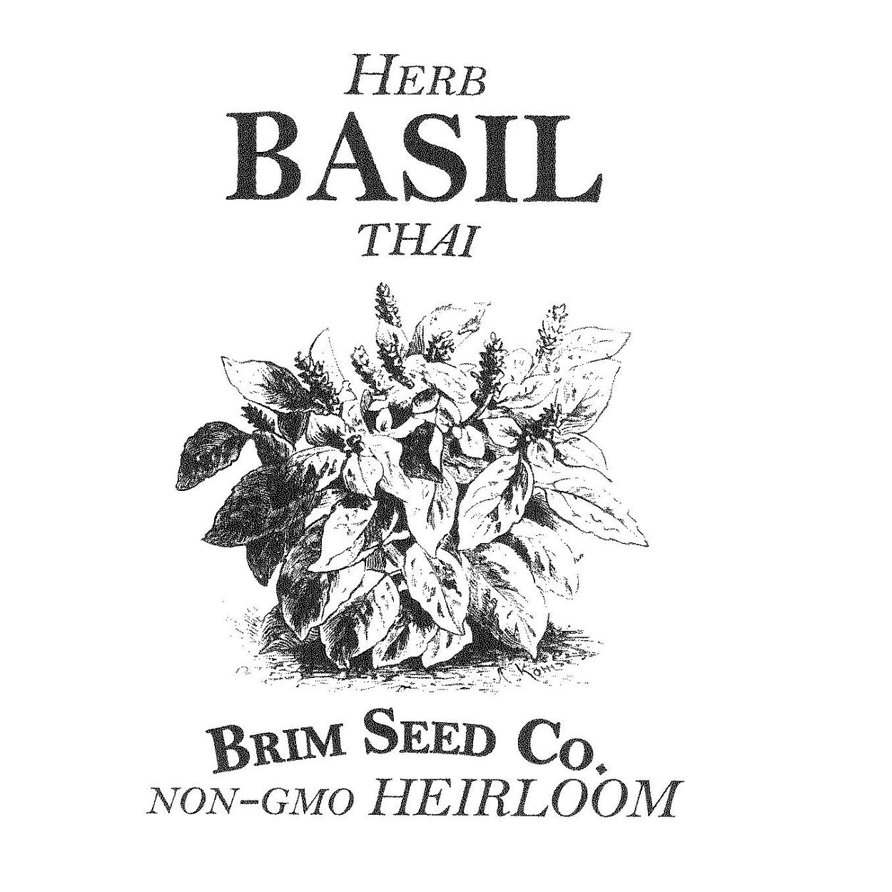 Brim Seed Co. - Thai Basil Herb Heirloom Seed