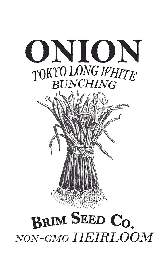 Brim Seed Co. - Tokyo Long White Bunching Onion Heirloom Seed