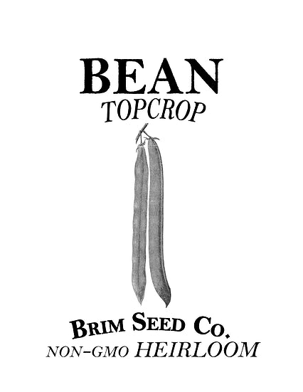 Brim Seed Co. - Topcrop Bean Heirloom Seed