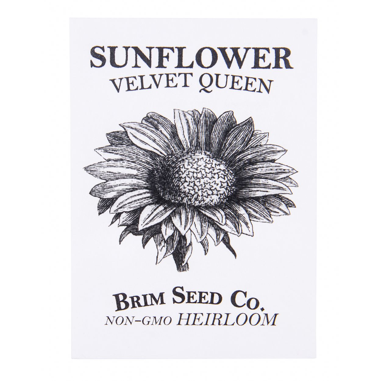 Brim Seed Co. - Velvet Queen Sunflower Heirloom Seed