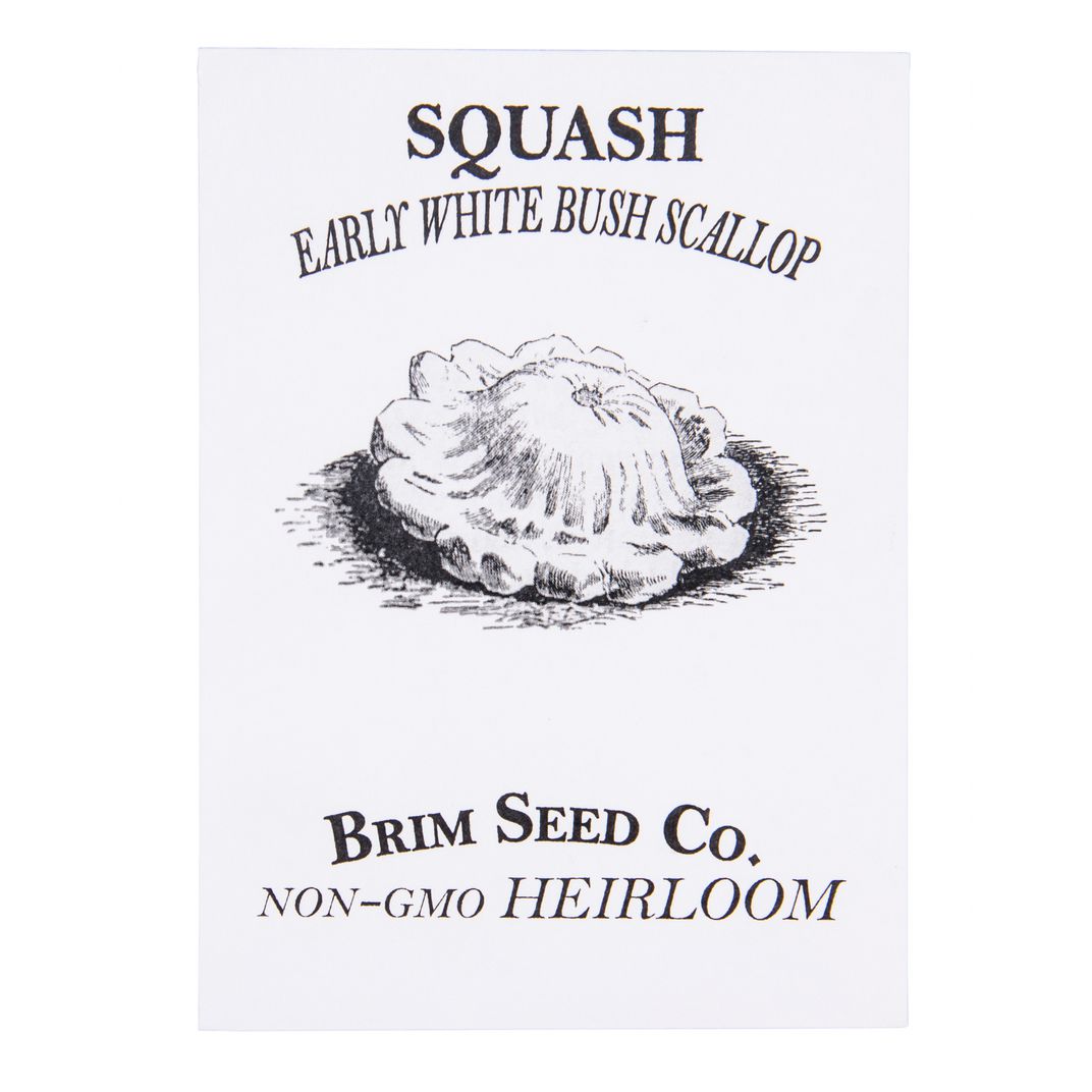 Brim Seed Co. - Early White Bush Scallop Squash Heirloom Seed