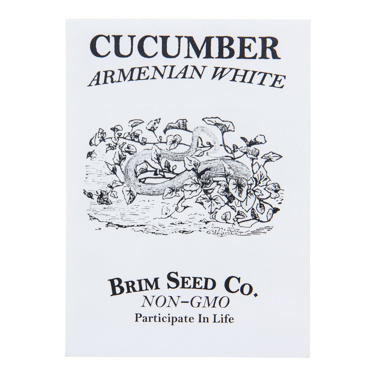 Brim Seed Co. - Armenian White Cucumber Seed
