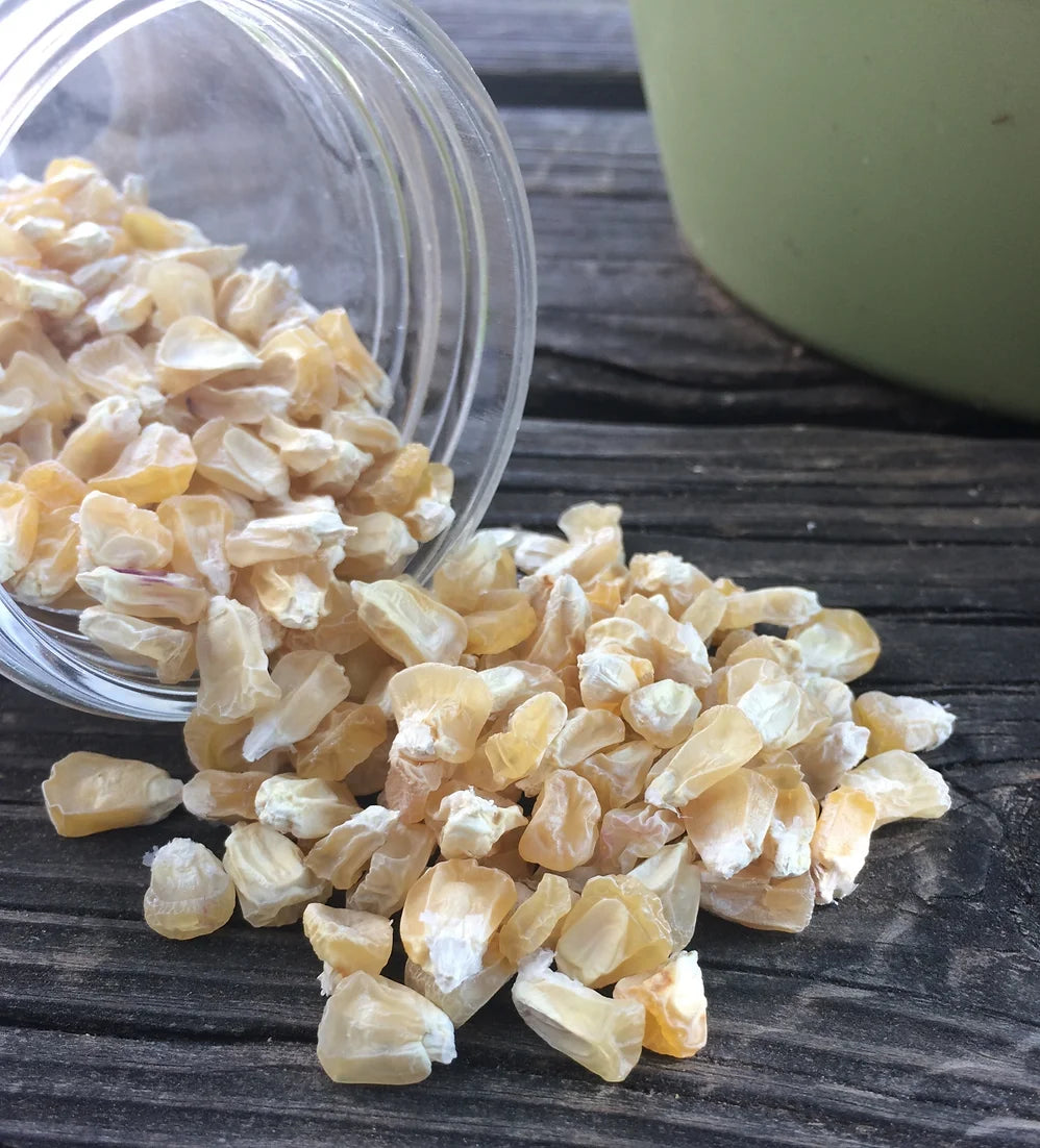 Brim Seed Co. - Southern Acclimated Who Gets Kissed Sweet Corn Heirloom Seed