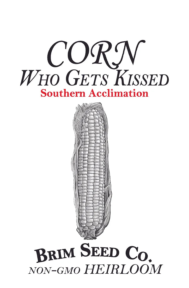 Brim Seed Co. - Southern Acclimated Who Gets Kissed Sweet Corn Heirloom Seed