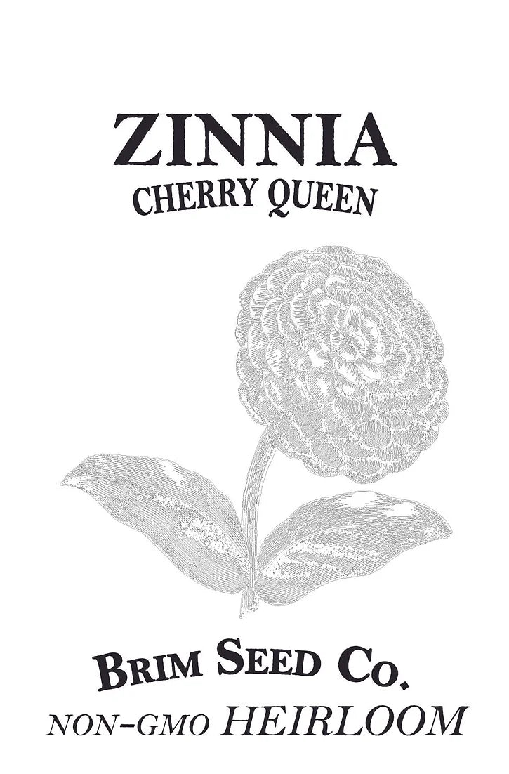 Brim Seed Co. - Cherry Queen Zinnia Flower Heirloom Seed