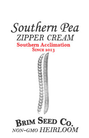 Brim Seed Co. - Southern Acclimated Zipper Cream Southern Pea Heirloom Seed