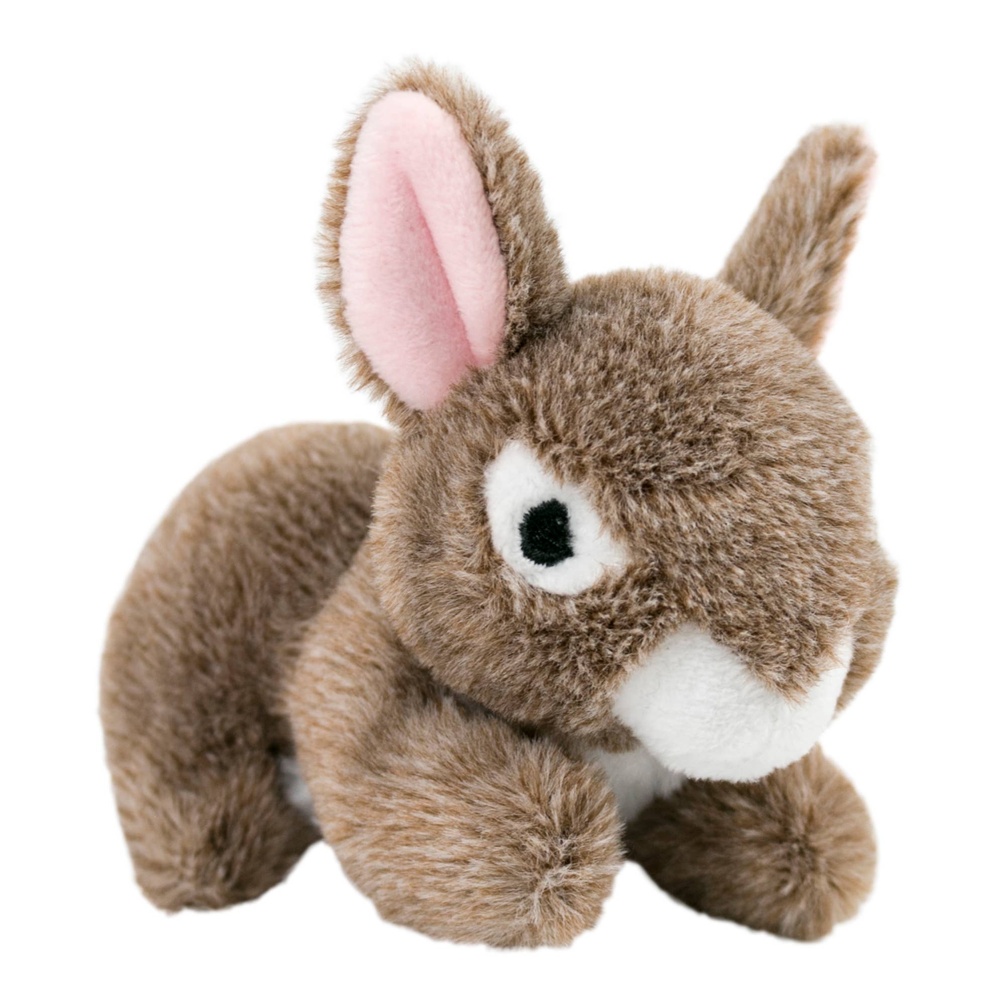 Tall Tails - 5" Plush Bunny Squeaker Toy