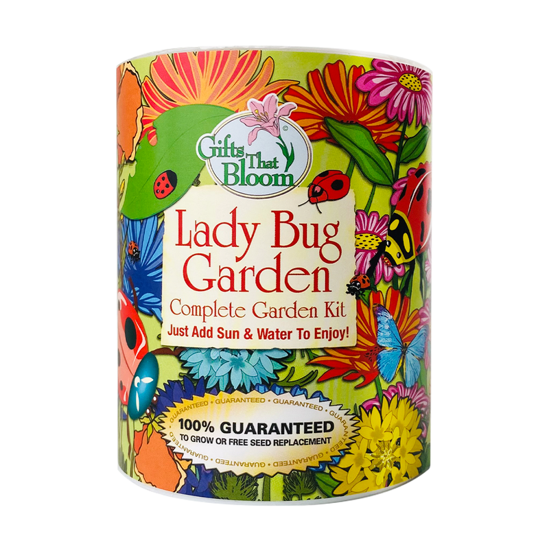 Lady Bug Garden  Kit
