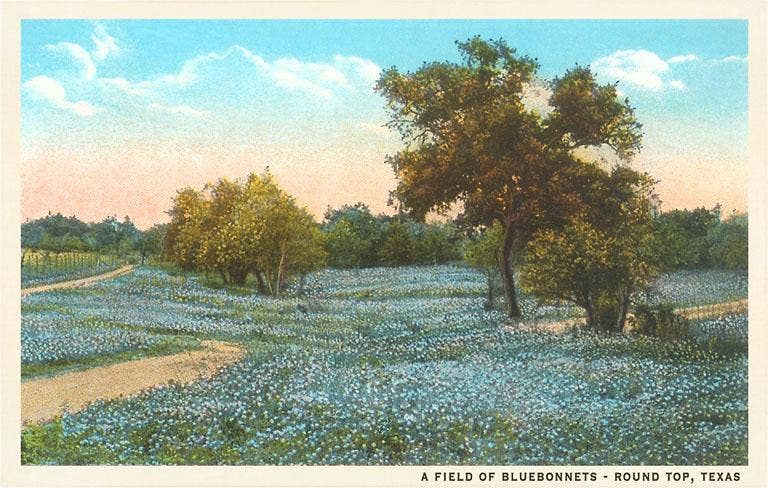 TX-994 Texas - Vintage Image, Postcard