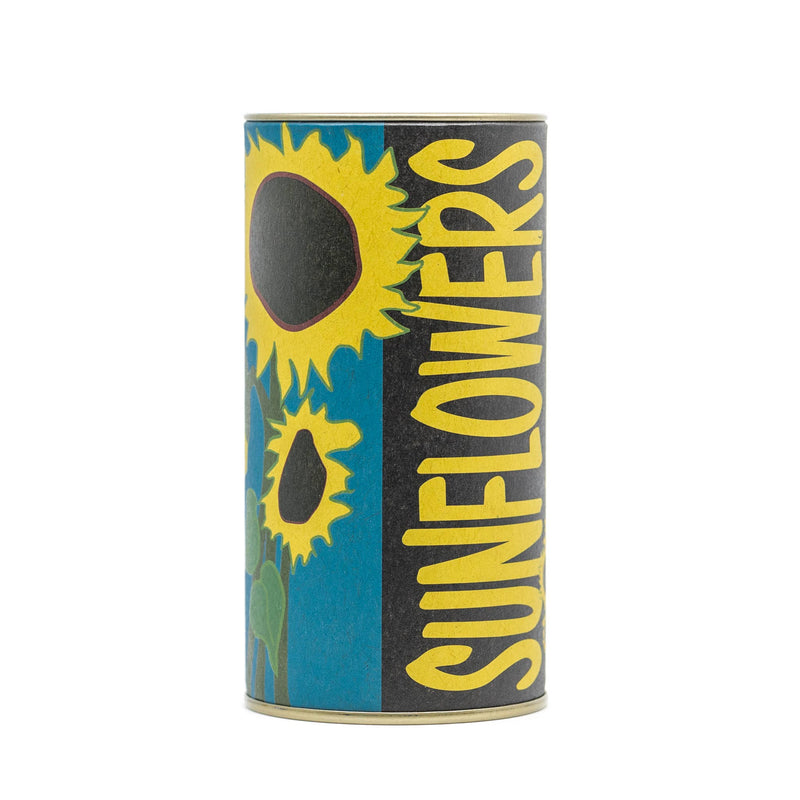 The Jonsteen Company - Sunflower | Seed Grow Kit