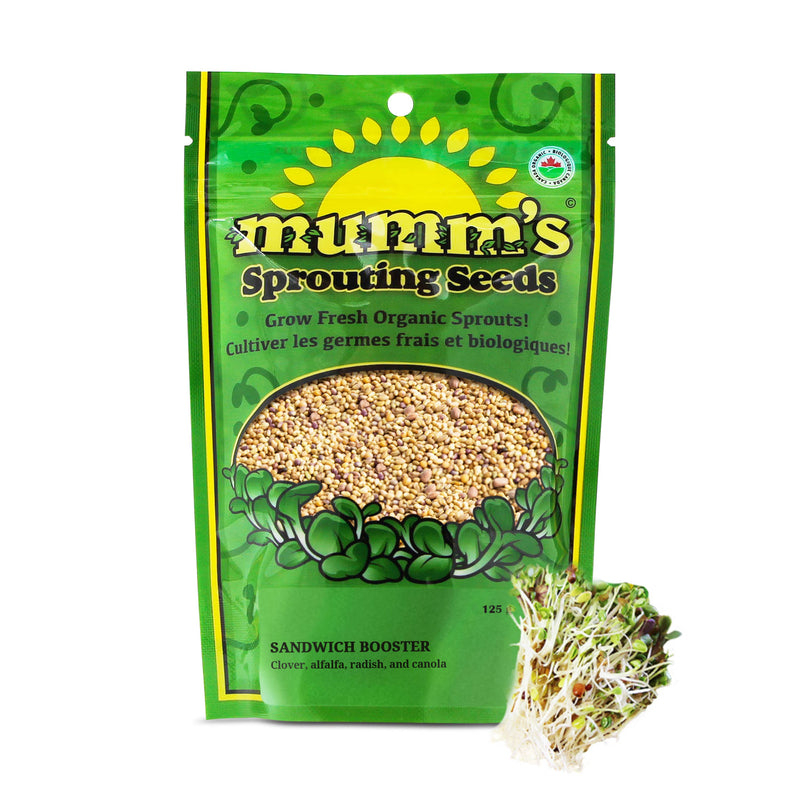 Masontops - Crunchy Bean Mumm's Organic Sprouting Seeds
