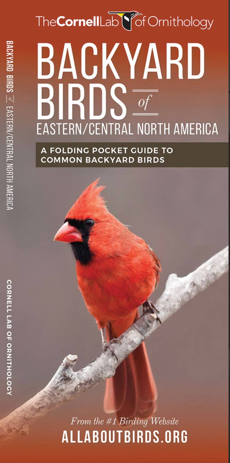 Waterford Press - Backyard Birds of Eastern / Central North America