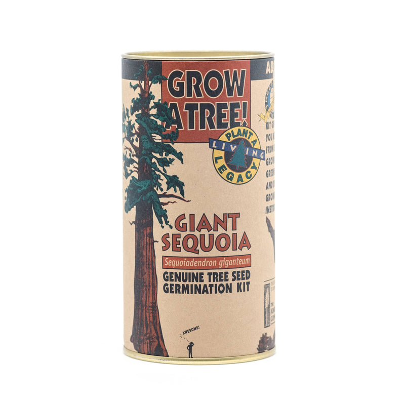 The Jonsteen Company - Giant Sequoia | Seed Grow Kit
