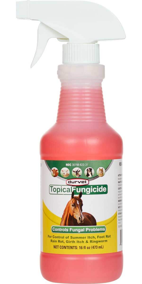 Durvet - Topical Fungicide Fungus Control for Horse, Cattle, Goats, Dogs and Cats