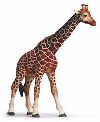 Schleich- Giraffe Male