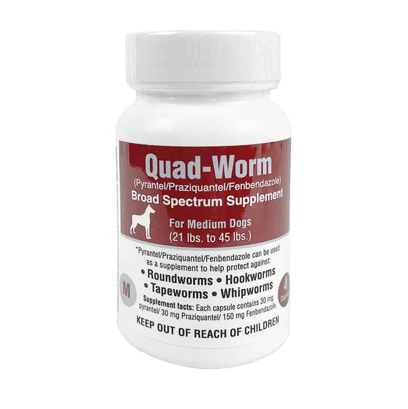 Quad-Worm