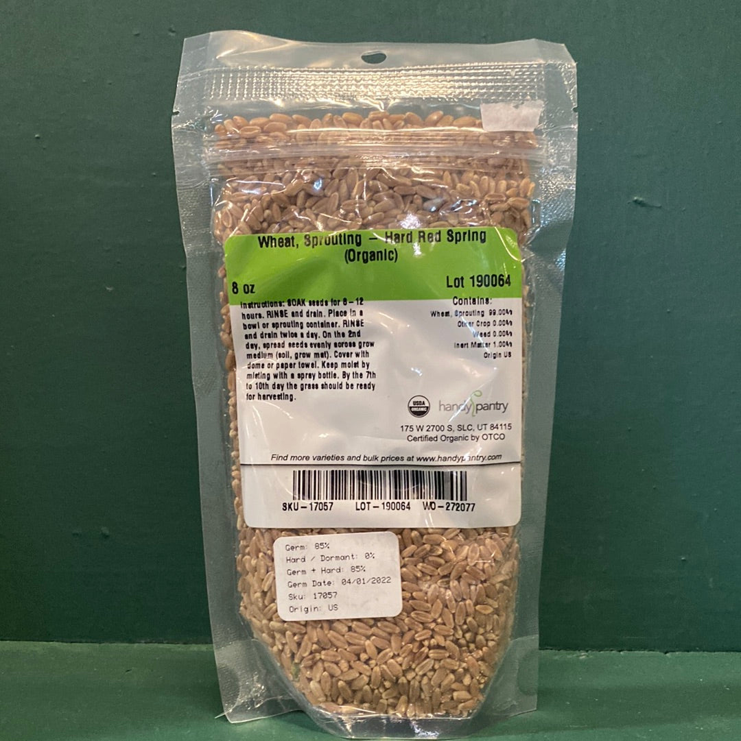 Handy Pantry- Sprouting Seeds