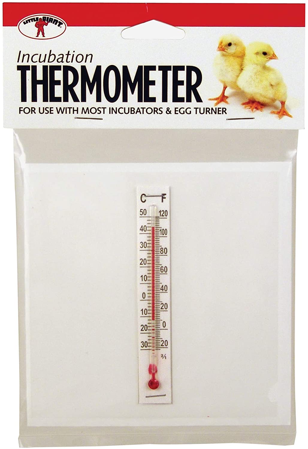 Little Giant - Incubation Thermometer