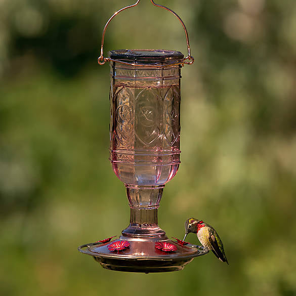 More Birds - Hummingbird Feeder
