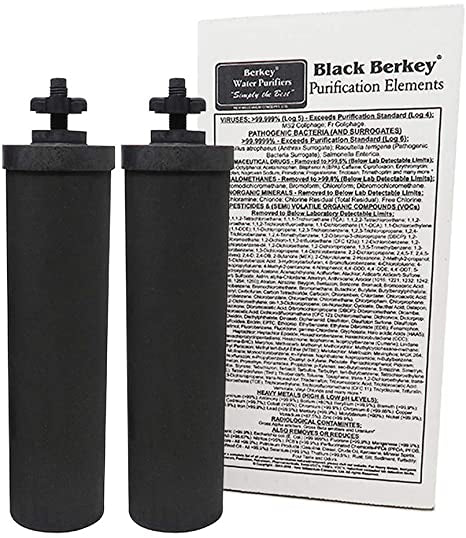 Black Berkey® Filter Elements (Set of 2)