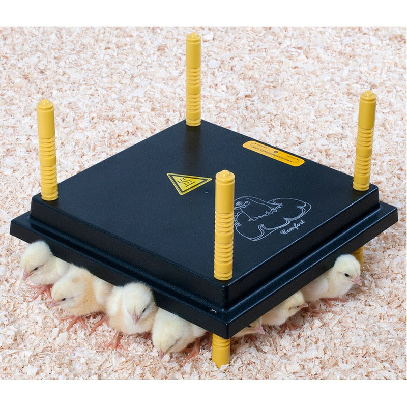 Comfort - Heating Plate for Chicks